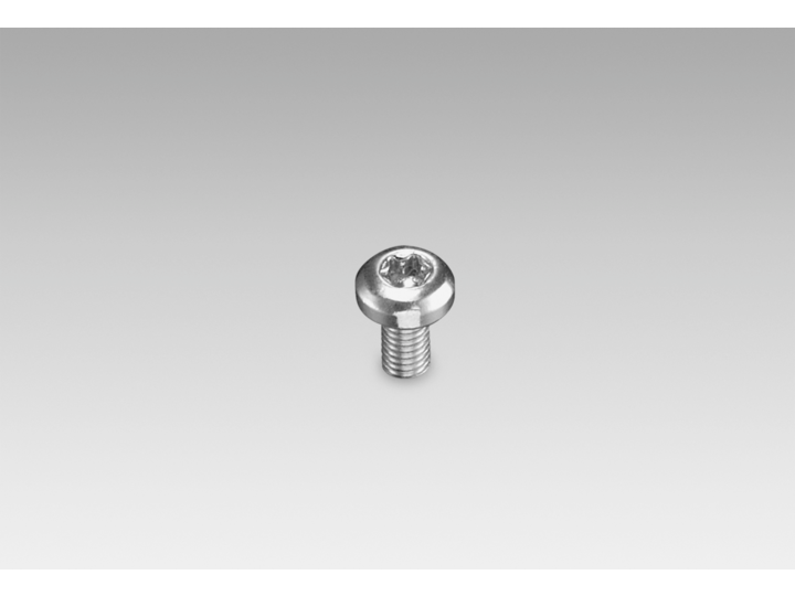 Self-tapping grounding screw (Z 119.100)